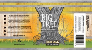 Big Tree Ipa 