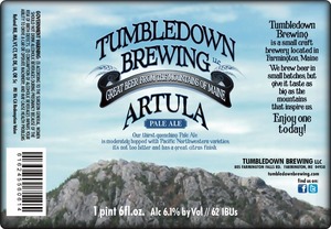 Artula Pale Ale 