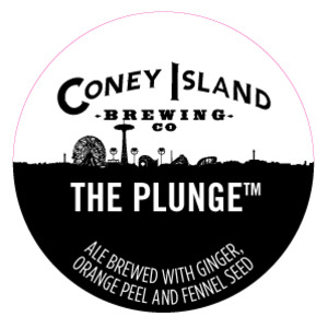Coney Island The Plunge August 2015