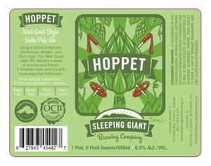 Sleeping Giant Brewing Company Hoppet India Pale Ale