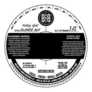 Valley Girl Blonde Ale October 2015