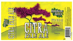 Odd Side Ales Citra Pale Ale