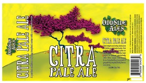 Odd Side Ales Citra Pale Ale