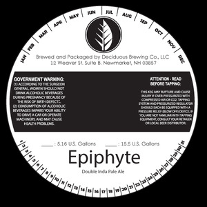 Epiphyte 