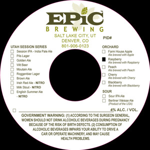 Epic Brewing Orchard Raspberry