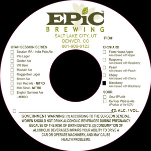 Epic Brewing Orchard Blackberry