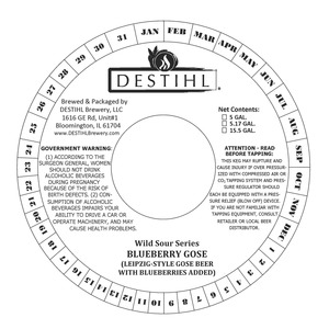 Destihl Wild Sour Series Blueberry Gose