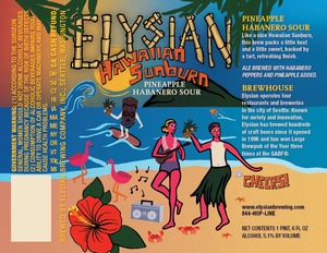 Elysian Brewing Company Hawaiian Sunburn December 2015