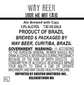 Way Beer Sour Caju