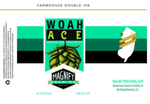 Magnify Brewing 