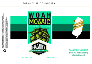 Magnify Brewing 