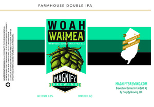 Magnify Brewing 