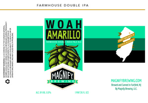 Magnify Brewing 
