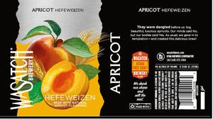 Wasatch Brewery Apricot Hefeweizen January 2016