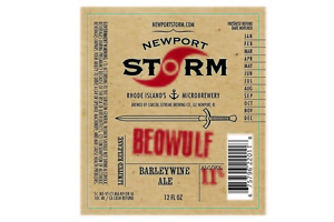 Newport Storm Beowulf January 2016