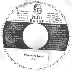 Blueberry Gose' January 2016