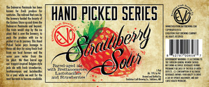 Evolution Craft Brewing Company Strawberry Sour