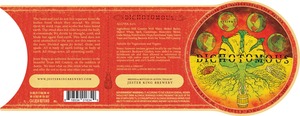 Jester King 2015 Estival Dichotomous