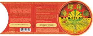 Jester King 2015 Estival Dichotomous