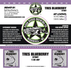 Dark Horse Tres Blueberry Stout