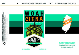 Magnify Brewing 