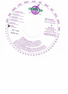 Avondale Brewing Co Tart Plum Sasion Ale