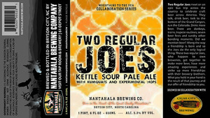 Nantahala Brewing Company Two Regular Joes