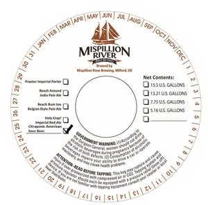 Citraponic American Sour Beer March 2016