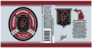 Lotsa' Problems Imperial IPA