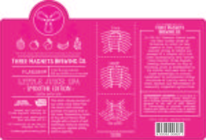Three Magnets Brewing Co. Little Juice IPA - Smoothie Edition