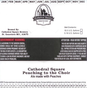 Cathedral Square Peaching To The Choir