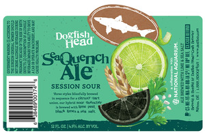 Dogfish Head Seaquench Ale