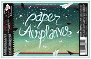 Birds Fly South Paper Airplanes June 2016