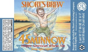 Short's Brew 45 Minnow