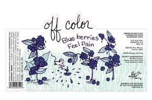 Off Color Brewing Blueberries Feel Pain June 2016