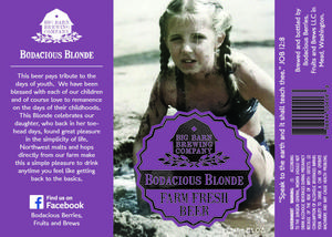 Big Barn Brewing Co Bodacious Blonde