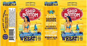 Ship Bottom Brewery Blueberry Bikini Bottom