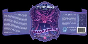 Wicked Weed Brewing Black Angel
