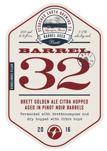 Barrel 32 Brett Golden Ale Citra Hopped 