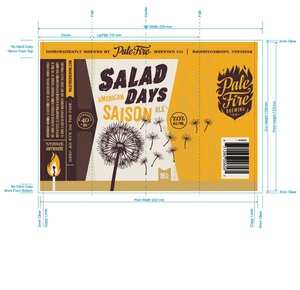 Salad Days American Saison July 2016