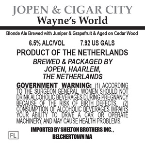 Jopen Wayne's World