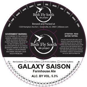 Birds Fly South Ale Project Galaxy Saison