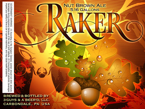 Raker November 2016