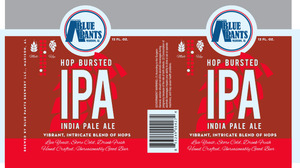 Blue Pants Brewery Hop Bursted IPA