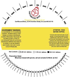 Earthbound Beer Precocious Gose