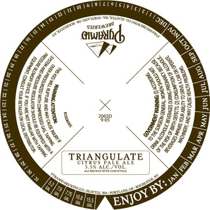Triangulate Citrus Pale Ale November 2016