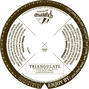 Triangulate Citrus Pale Ale 