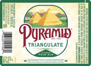 Triangulate Citrus Pale Ale November 2016