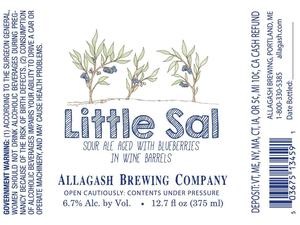 Allagash Brewing Company Little Sal