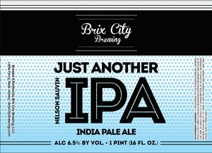 Just Another Nelson Sauvin Ipa 